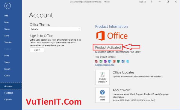 activate office 2019 11