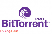 BitTorrent PRO 7.10